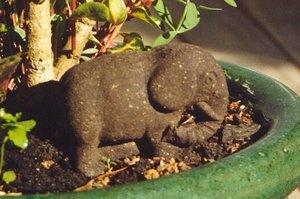 An endangered faeces artwork, made from Zoo Doo - manure from animals at Auckland Zoo. Photo / Supplied