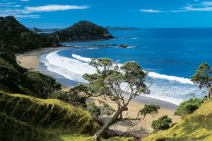 Beaches like Sandy Bay in Tutukaka are beautiful in any weather. Photo / Supplied