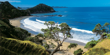 Beaches like Sandy Bay in Tutukaka are beautiful in any weather. Photo / Supplied