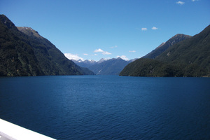 An underwater wonderland has been disovered in Fiordland. Photo / Supplied