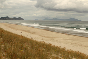 Te Arai beach near Mangawhai. Locals are up in arms as the beach is under threat from developers. Photo / Janna Dixon