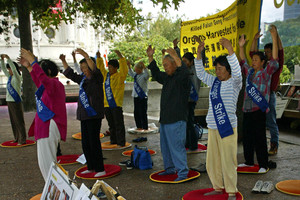 Chinese Falun Gong members. Photo / Geoff Dale