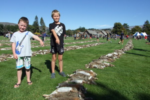 Finn Aitken (left) of Outram, and Jamie Hill of Alexandra, inspecting some of the 10,424 rabbits shot during the Great Easter Bunny Hunt in Central Otago over 24 hours. Photo / Lynda van Kempen