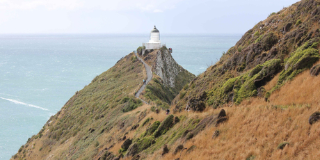 The walkway to the Catlins' Nugget Point lighthouse. Photo / Jill Worrall