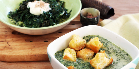 Silverbeet is a versatile veg and is shown here creamed with nutmeg and served in a soup with garlic croutons. Photo / Janna Dixon