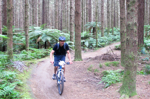 Alex Robertson cycles through the Redwood Forests with Mountain Bike Rotorua. Photo / Jaqui Robertson
