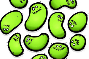 It's not the toilet that germs thrive the most in the home.
Photo / Thinkstock