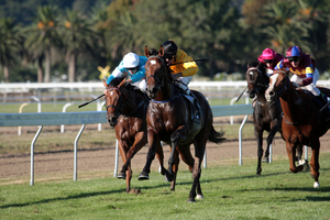 With a 3kg apprentice allowance The Hombre (second left) is going to be all the rage in Leg 5 today.