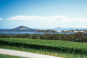 The Karikari Estate winery is just one of the many attractions at Carrington Resort on Karikari Peninsula. Photo / Supplied