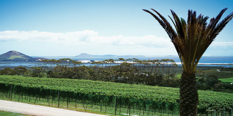 The Karikari Estate winery is just one of the many attractions at Carrington Resort on Karikari Peninsula. Photo / Supplied