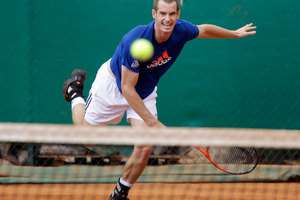 Andy Murray. Photo / AP