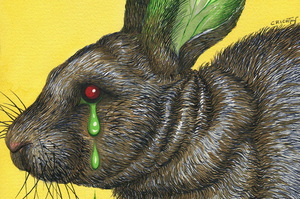 Illustration / Anna Crichton