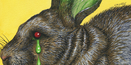 Illustration / Anna Crichton