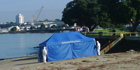 The scene at Devonport this morning. Photo / Greg Bowker