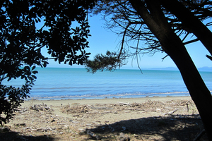 Golden Bay's beaches await... you just have to get over the hill first. Photo / Jill Worrall