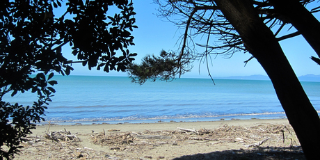 Golden Bay's beaches await... you just have to get over the hill first. Photo / Jill Worrall