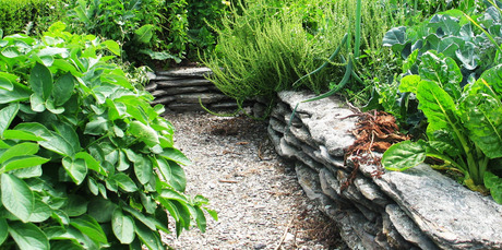 Here a formal vege garden is edged with schist. The material choice reflects the surrounding stony landscape of Middlemarch, Central Otago. Photo / Meg Liptrot