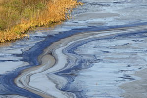 New oil sponge technology could help save beaches and wildlife. Photo / Thinkstock
