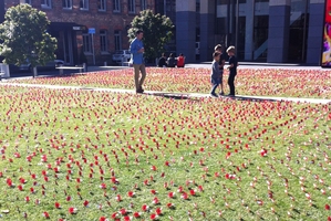 Anzac poppies near the Auckland waterfront today. Photo / supplied
