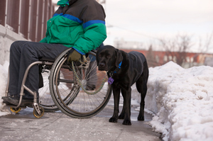 An addition of tiny skis could be the key to easier movement in the snow. Photo / Thinstock