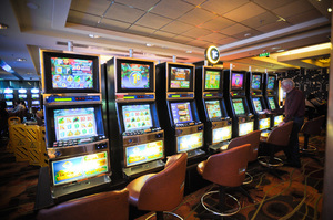 Ready for punters.
Photo / Jason Dorday