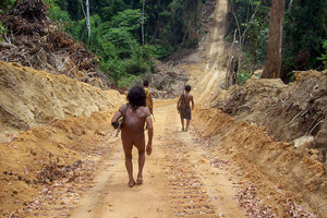 Members of the Awa Tribe in the Para province of the Brazilian Amazon Jungle walk along a path cleared by loggers. Photo / Supplied