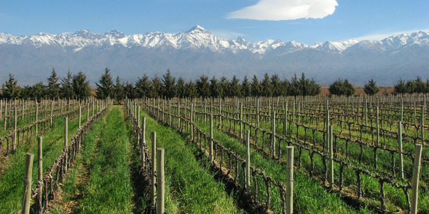 Argentina's Mendoza region spoils visitors with a wealth of viticultural and gastronomic delights. Photo / Thinkstock