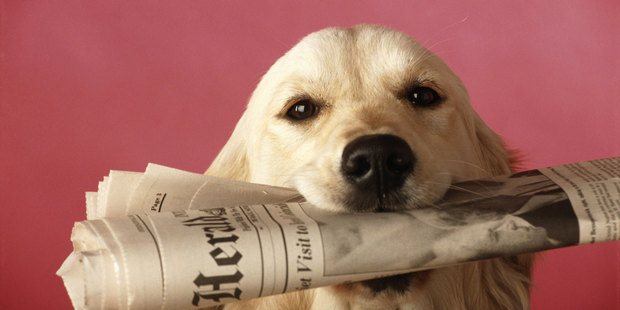 A well-done online newsletter can make a big difference. Photo / Thinkstock