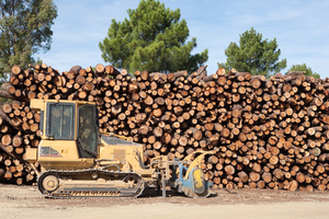Forest products declined from levels a year ago. Photo / Thinkstock