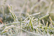 Photo / Thinkstock Photo / Thinkstock