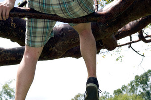 File photo / Thinkstock