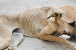 File photo / Thinkstock