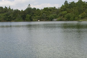 Lake Rotoiti. Photo / File