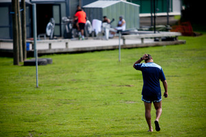 Blues rugby coach pat Lam. Photo / Dean Purcell