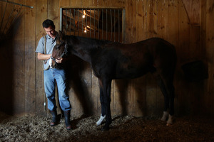 David Moore of Soliloquy Lodge says "The feed and stable bills keep coming in."
Photo / Doug Sherring