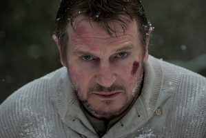 Liam Neeson in The Grey. Photo / Supplied