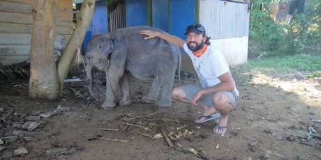 Murray Munro says Bona needs to be hand fed with 1kg of specialised milk powder a day. Photo / Supplied