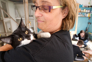 Ann Eade with one of the luckier cats being offered for adoption in the Lonely Miaow Adopt-a-thon. Photo / Steven McNicholl