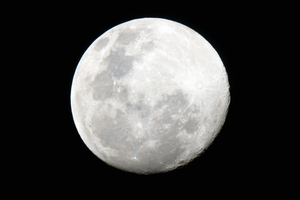 The last 'supermoon' was seen in March 2011. File photo / Glenn Taylor