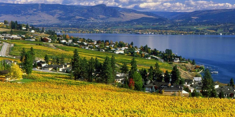 World-class food and wine with a view. Photo / Tourism British Columbia