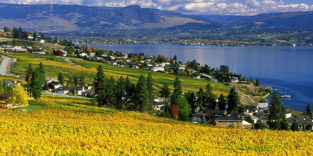 World-class food and wine with a view. Photo / Tourism British Columbia