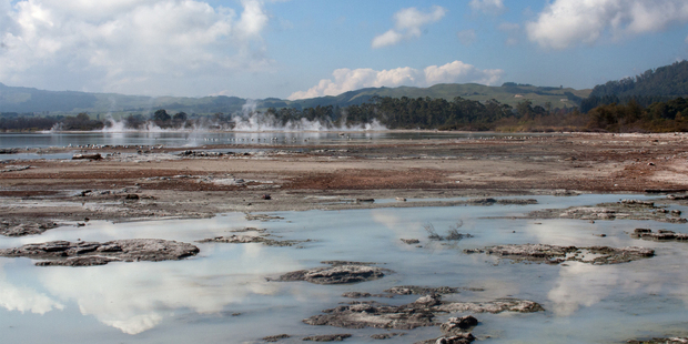 The bubbling milky waters at Sulphur Point are great for children on a family amble in Rotorua. Photo / Jessica Kate Williamson