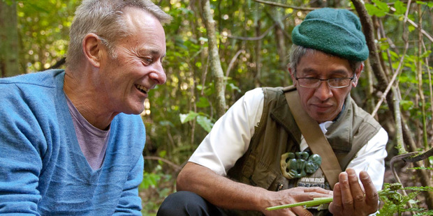 Charles Royal shows Grant Allen how to gather native plants for eating. Photo / Jason Burgess