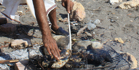 A fisherman cooks lunch on the beach in the Omani port town of Quriyat. Photo / Jim Eagles