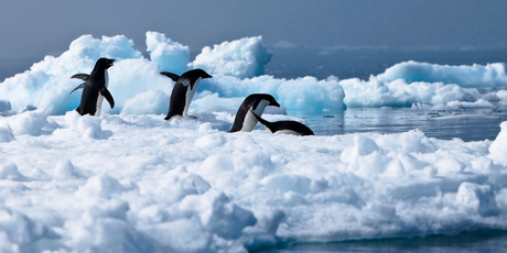 Travel industry experts say tourists are unlikely to be put off visiting Antarctica despite the sinking of a cruise ship which hit ice off King George Island. Photo / Thinkstock