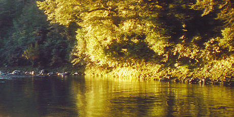 The natural beauty of your surroundings while fly-fishing on the Tongariro River may help to make up for the lack of a catch. Photo / Danielle Wright