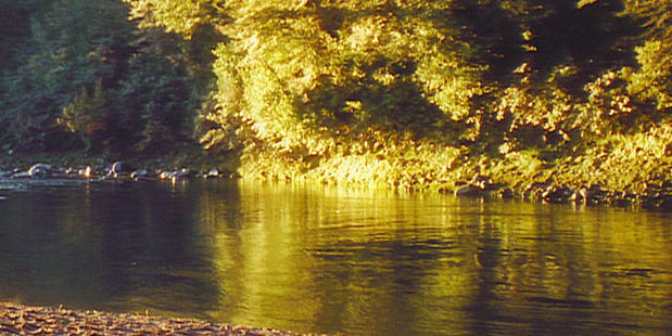The natural beauty of your surroundings while fly-fishing on the Tongariro River may help to make up for the lack of a catch. Photo / Danielle Wright
