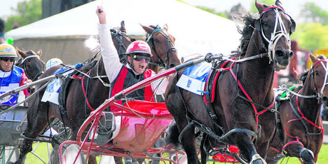 From a good draw, Terror To Love should dominate his rivals in the Messenger Stakes tonight.