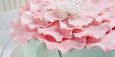 In full bloom from new book Cakestar by Jade Lipton. Photo / Paul Giggle
