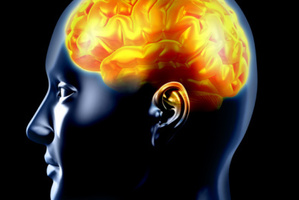 Psychopaths have structural differences in parts of the brain responsible for understanding emotions.
Photo / Thinkstock